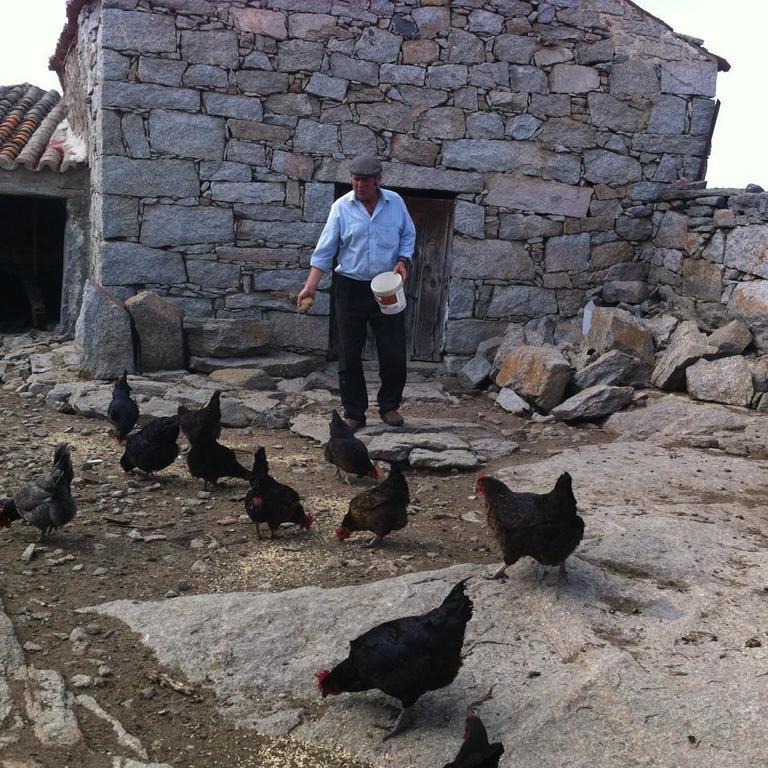Casa Rural El Linaje De Los Cinco Sombreros 갈레고스데산비센테 외부 사진